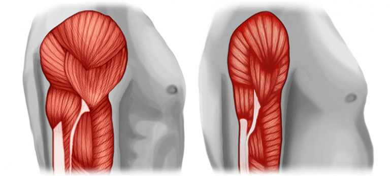 loss-of-muscle-mass-breakawaycomputraining